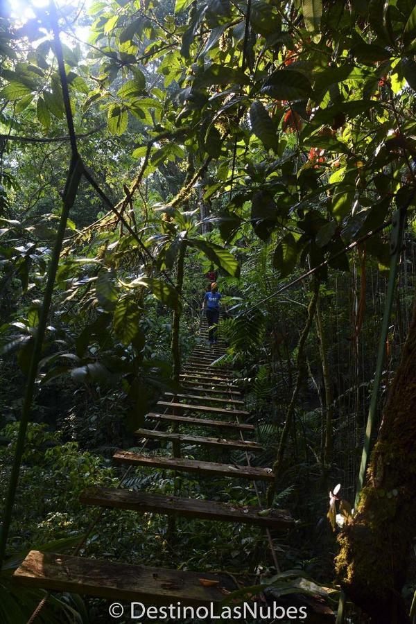 Ciudad De Las Rocas La Fortuna Gallo Giro Exterior photo